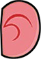 right ear
